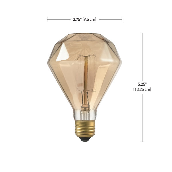 40 Watt G25 Incandescent Dimmable Light Bulb , Warm White Base